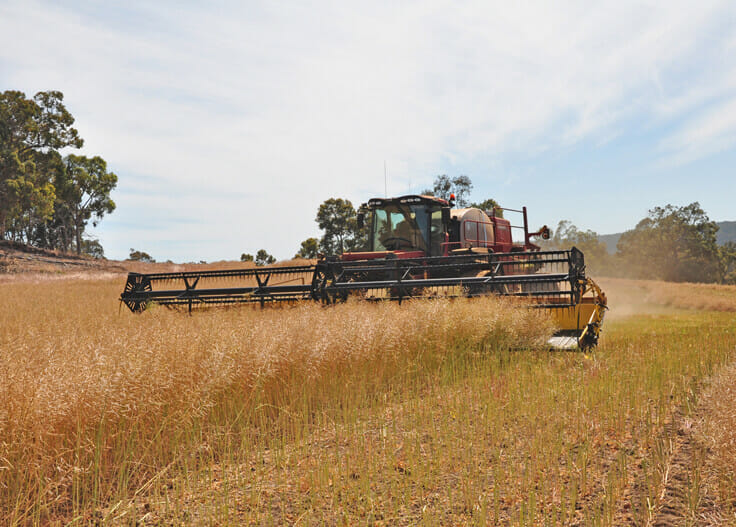 swathing